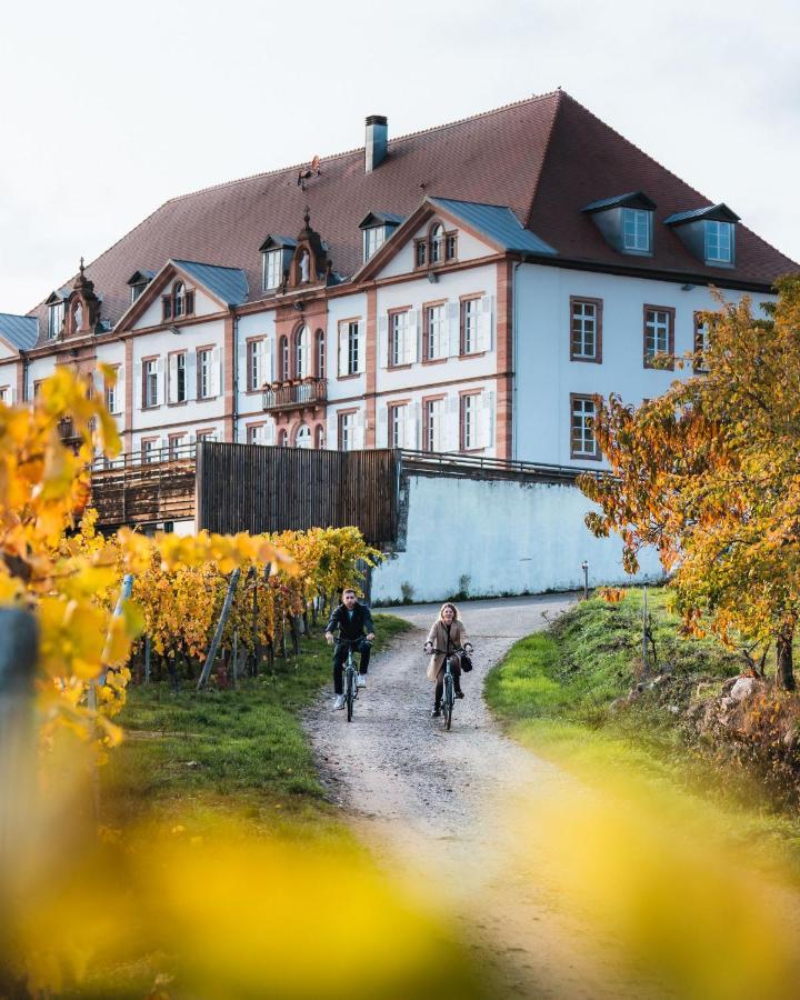 Hotel Val-Vignes Colmar Haut-Koenigsbourg, The Originals Relais Saint-Hippolyte  Eksteriør billede