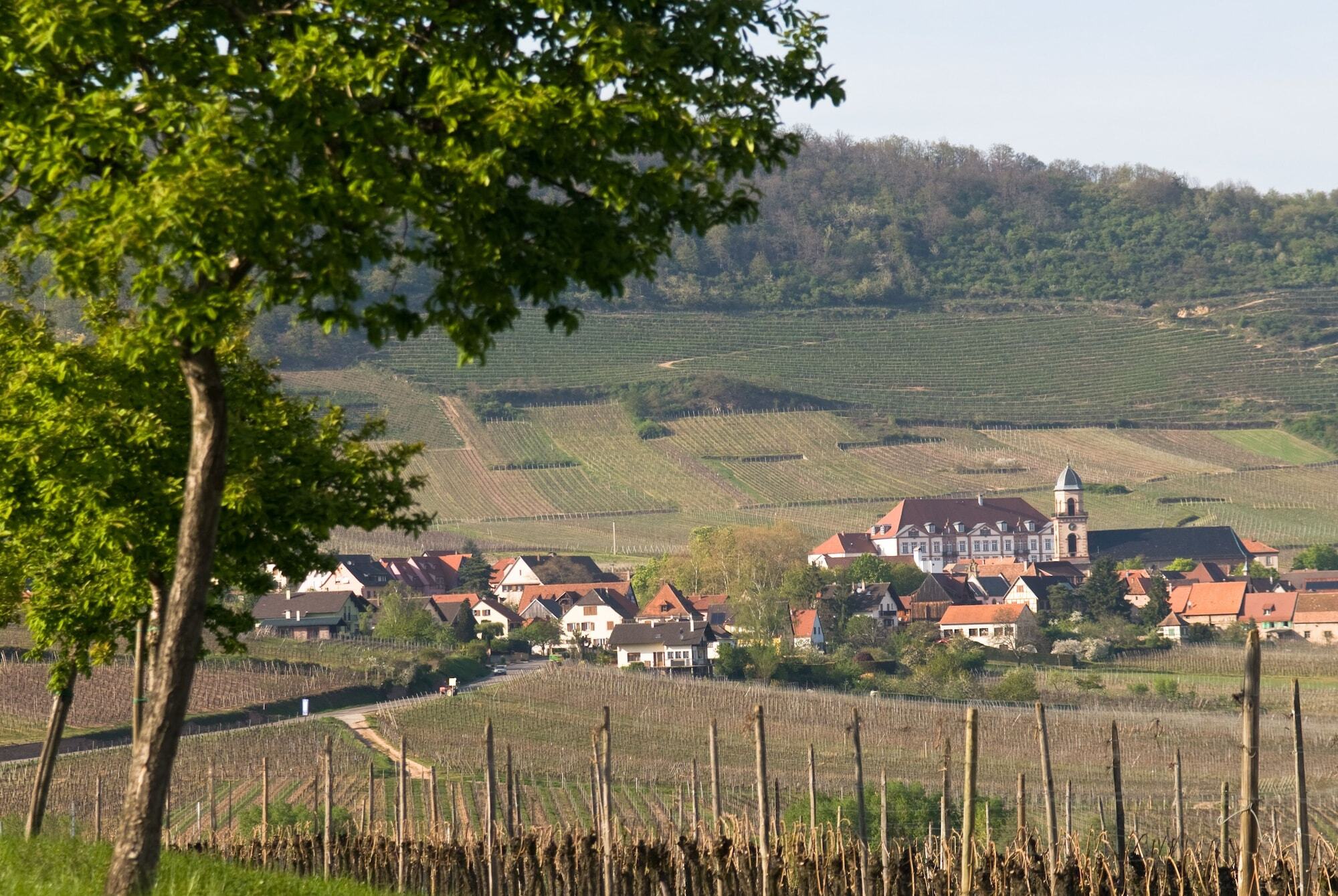 Hotel Val-Vignes Colmar Haut-Koenigsbourg, The Originals Relais Saint-Hippolyte  Eksteriør billede